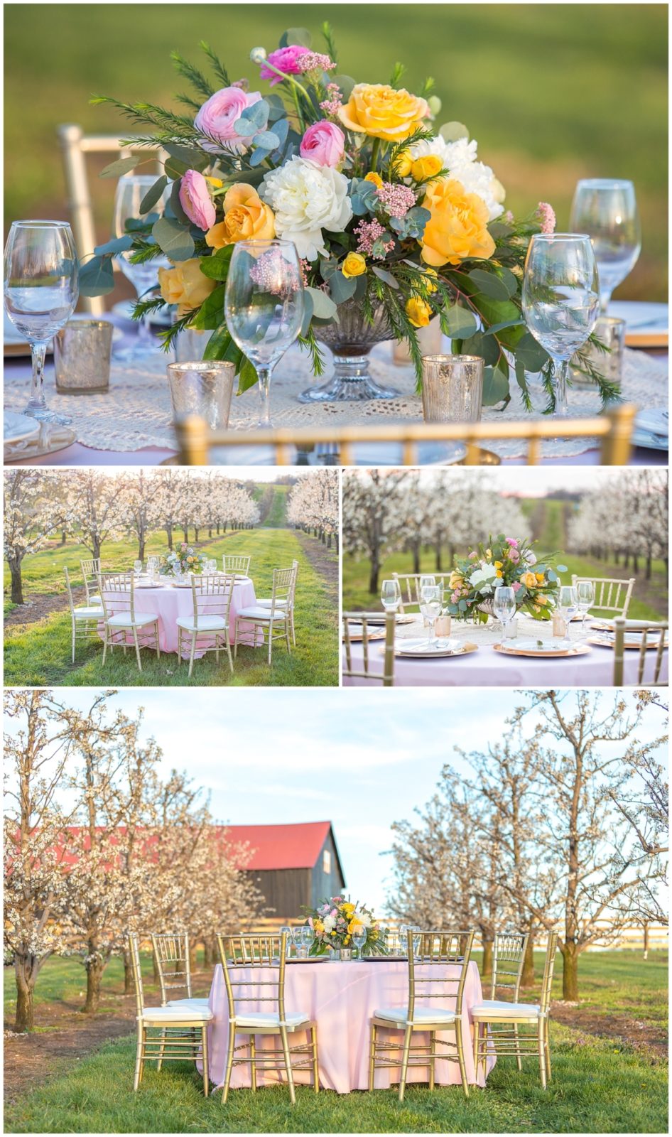 Styled Shoot at Evan's Orchard_0007