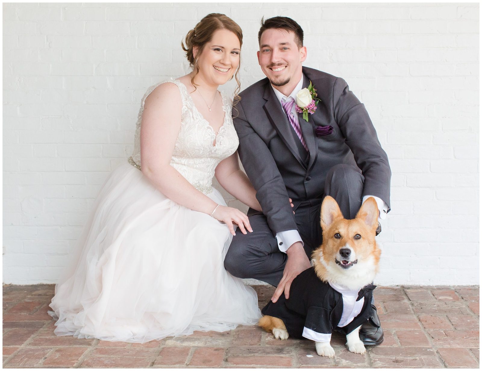 Bride and Groom and Corgi Dog Wedding Photos at Ashford Acres Inn in Cynthiana, Kentucky.