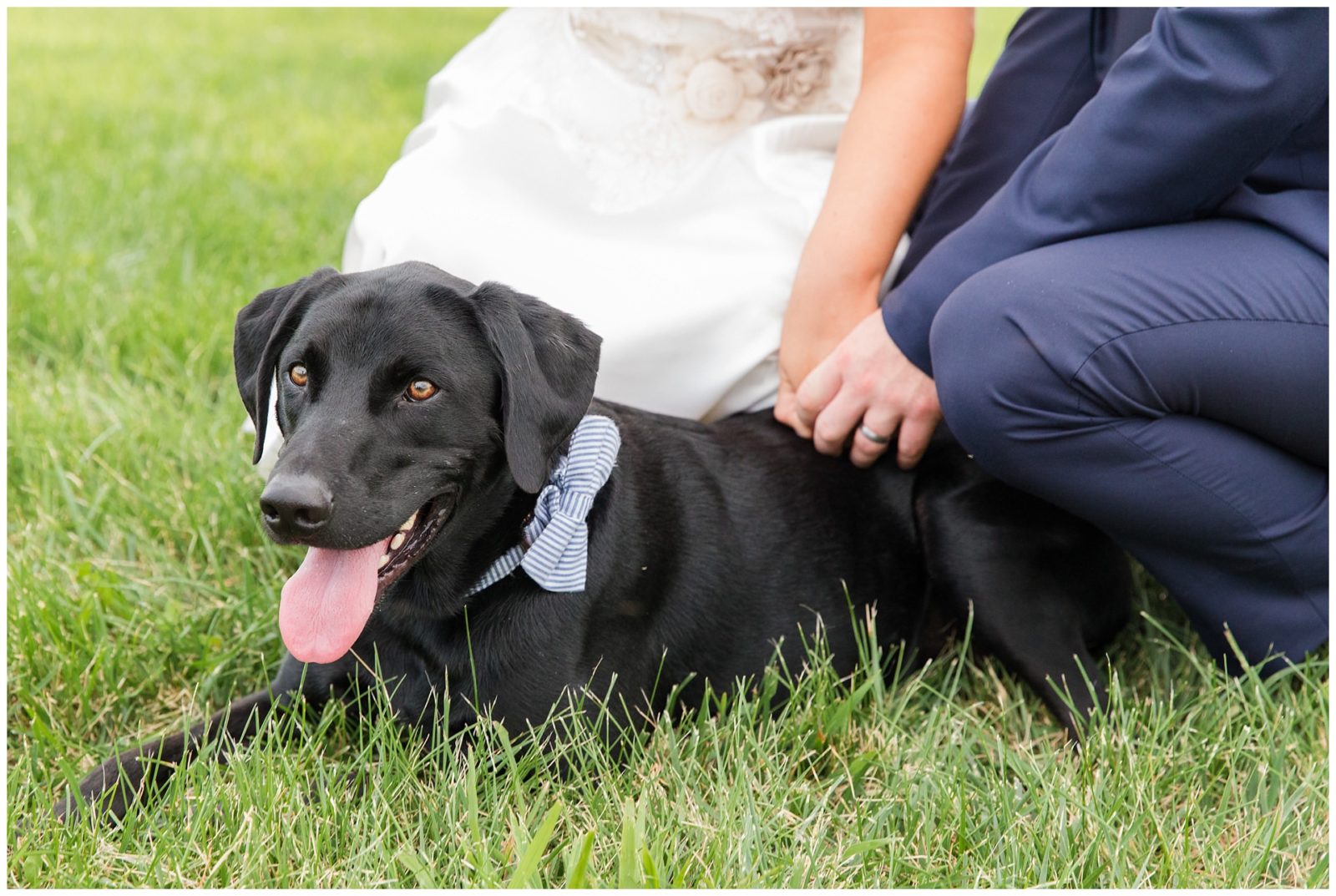 Bride and Groom Wedding Photos with a dog at the Barn at McCall Springs in Lawrenceburg, Kentucky.