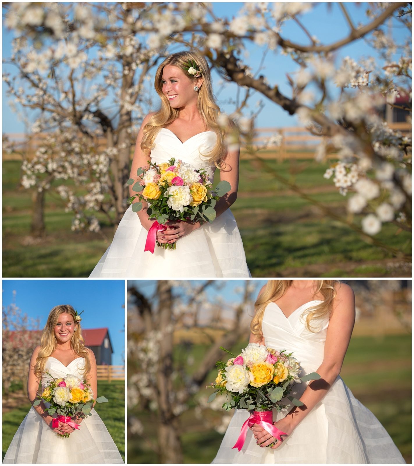 Styled Shoot at Evan's Orchard_0011