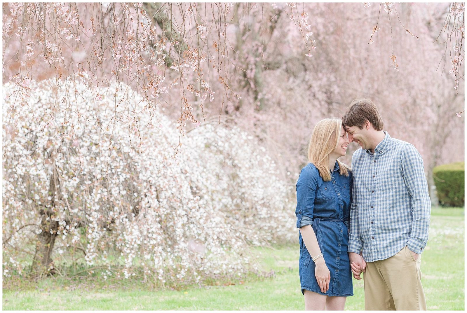 Kevin and Anna standing under a blooming cherry blossom tree in the spring in Lexington, KY