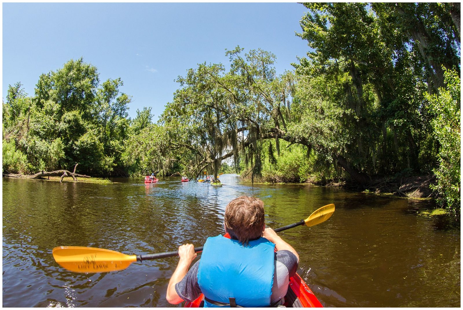 Kayak Swamp Tour Adventure with Louisiana Lost Lands Environmental Tours in New Orleans, LA