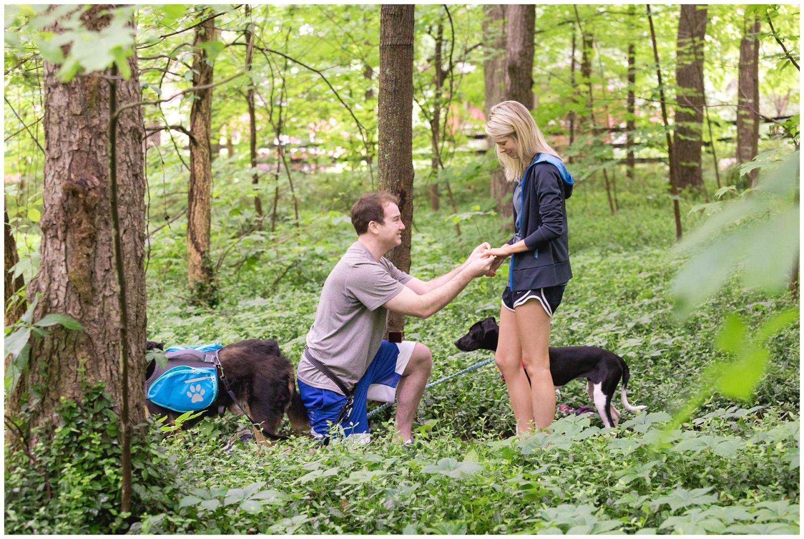Surprise engagement proposal in the forest at the Arboretum in Lexington, KY