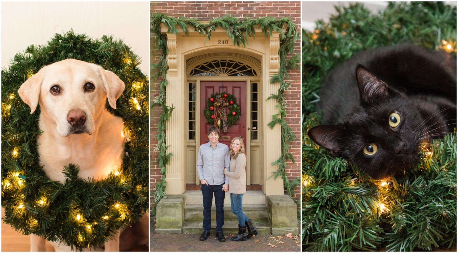 2017 Christmas Photos of Kevin and Anna