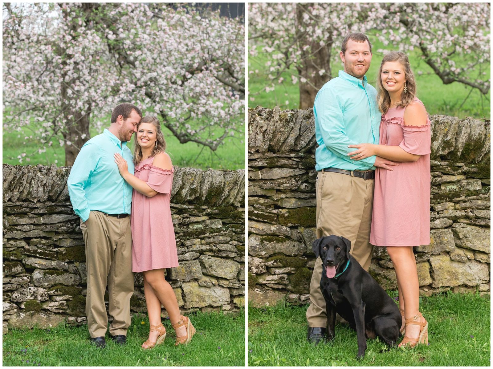 Dog Spring Engagement Session with flowering trees at Shaker Village in Harrodsburg, Kentucky.
