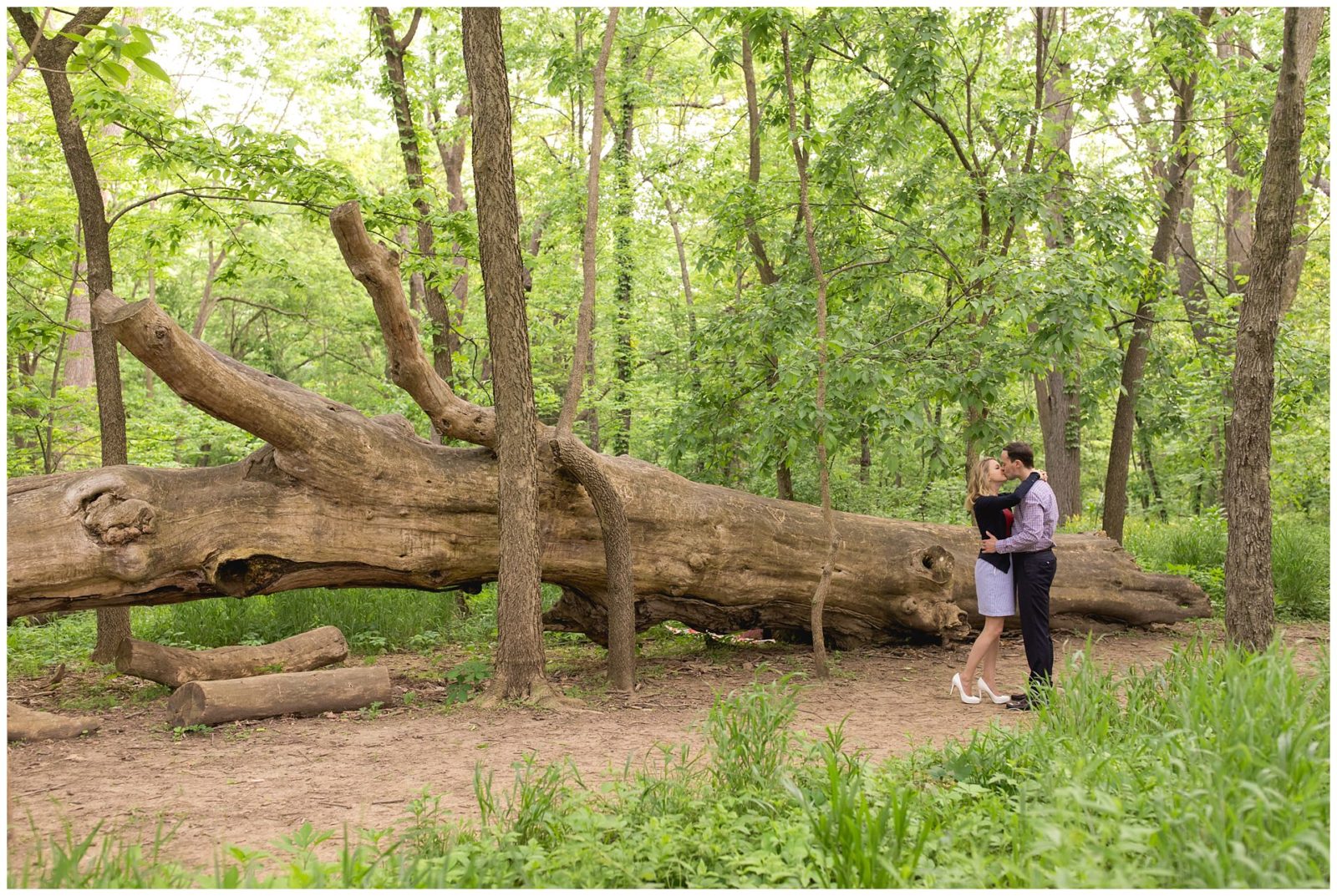 Engagement photos in the forest at the University of Kentucky Arboretum in Lexington, KY