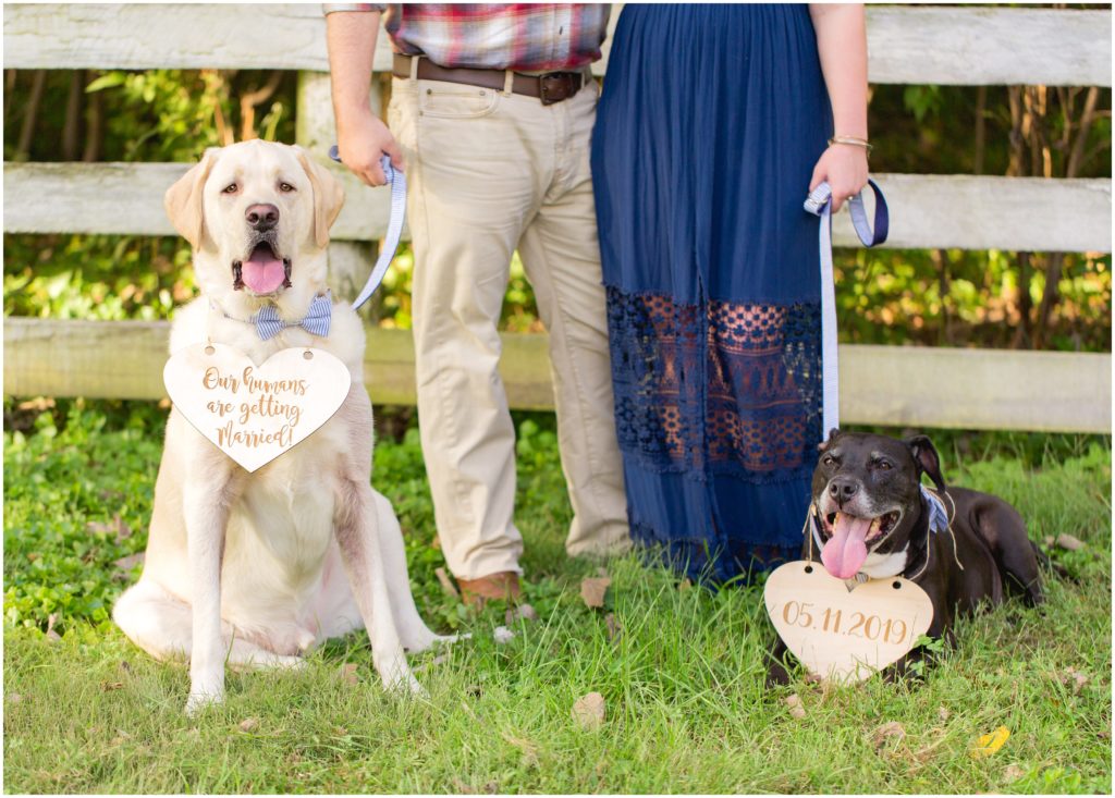 Tips for Including Your Pets During Your Engagement Session and Wedding