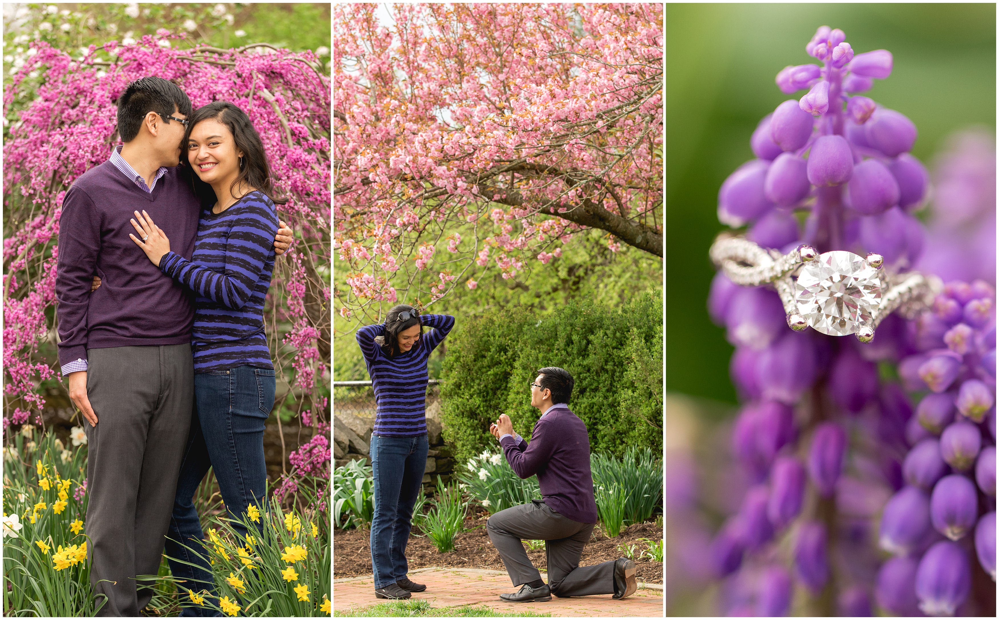 Surprise spring engagement proposal at the Arboretum in Lexington, KY