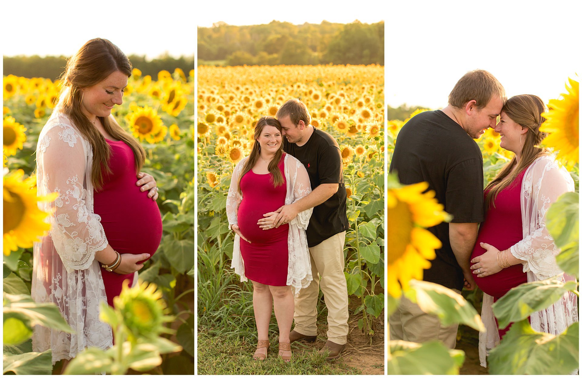 Maternity Session in a Sunflower Field at Evans Orchard in Georgetown, Kentucky