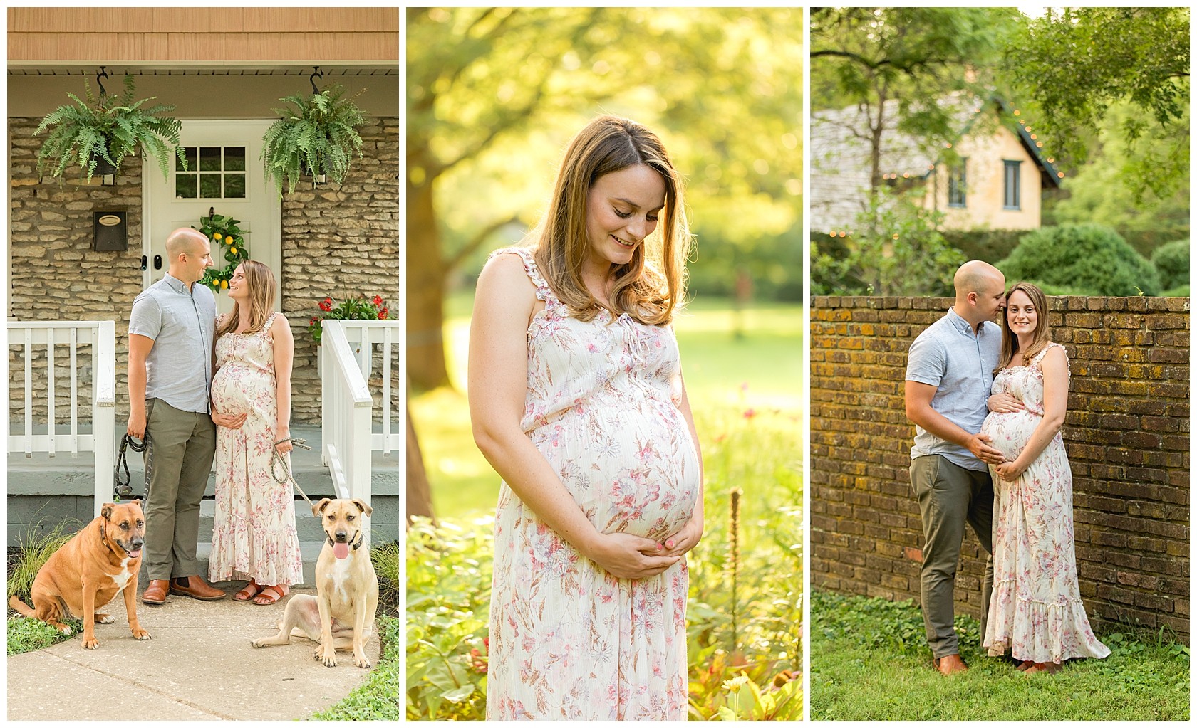 Maternity Session with dogs in Lexington, Kentucky